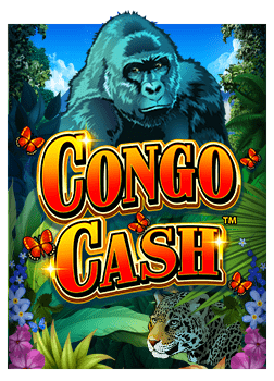 เกม ไพ่ แค ง y8 สนุกได้อย่างไม่ซ้ำใคร